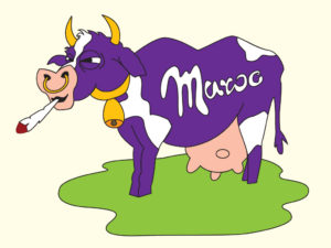 Karykatura krowy Milka